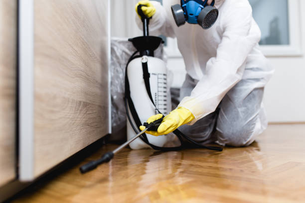 Best Pest Control Near Me  in Tahlequah, OK