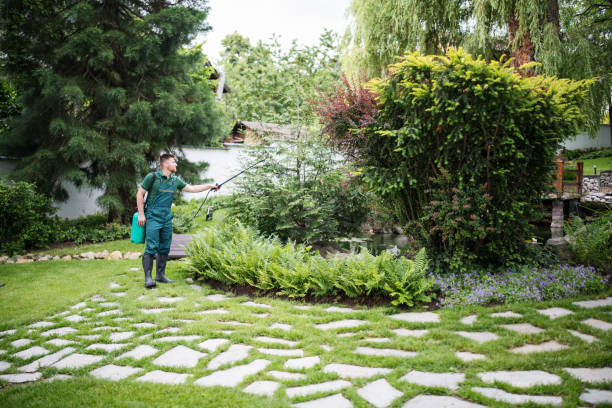 Best Best Pest Control Companies  in Tahlequah, OK