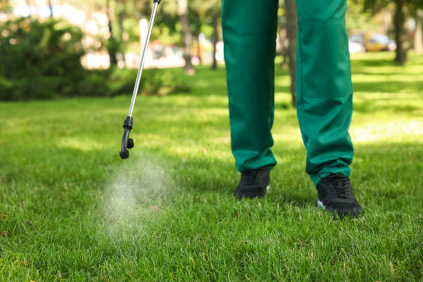 Best Residential Pest Control  in Tahlequah, OK