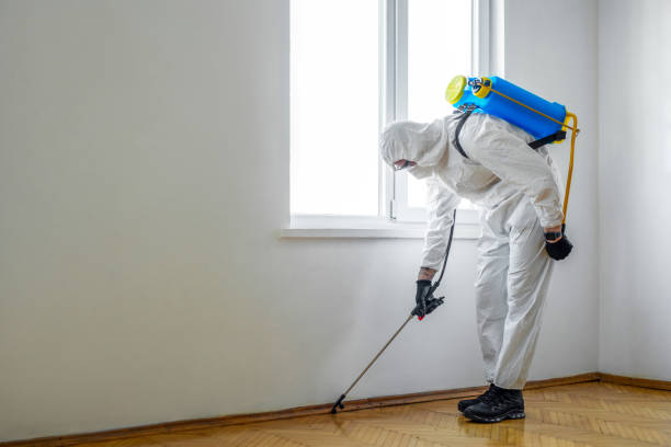 Best Best Pest Control Near Me  in Tahlequah, OK