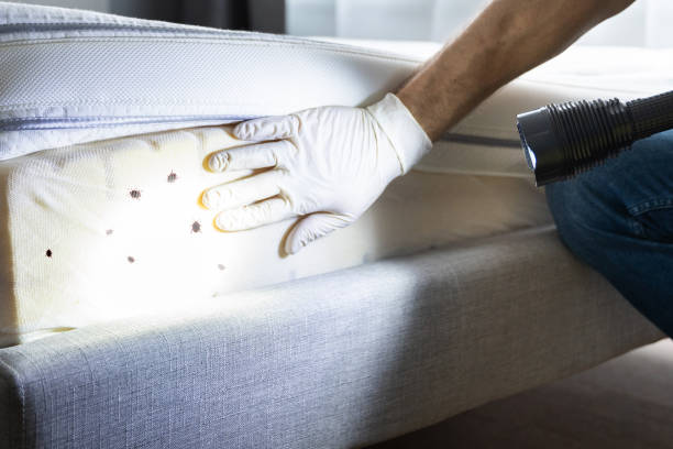 Best Exterminator Services  in Tahlequah, OK