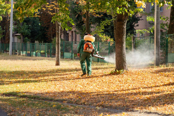 Best Pest Inspection Near Me  in Tahlequah, OK