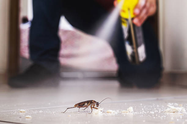 Trusted Tahlequah, OK Pest Control Experts