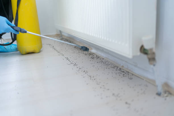 Best Wildlife Control Services  in Tahlequah, OK