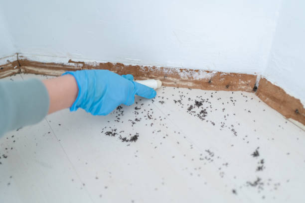 Best Pest Removal Services  in Tahlequah, OK
